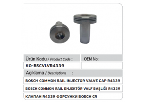 R4339 Bosch Valve Cap 